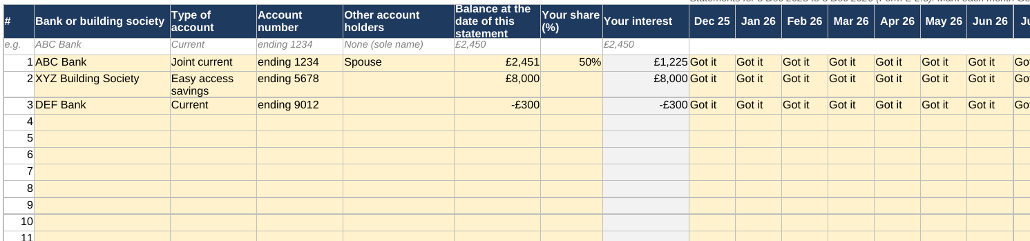 The 2.3 Accounts tab of the Form E Organiser filled in with this made-up case